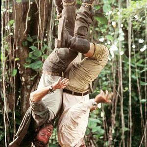 Photo Bienvenue dans la jungle