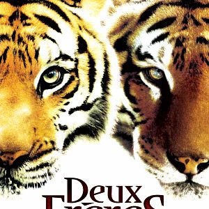Photo Deux frères