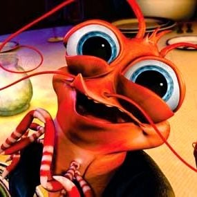 Photo Gang de requins