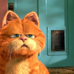 Photo Garfield