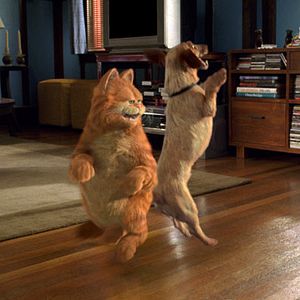 Photo Garfield