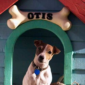 Photo Lawrence Guterman