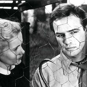 Photo Eva Marie Saint