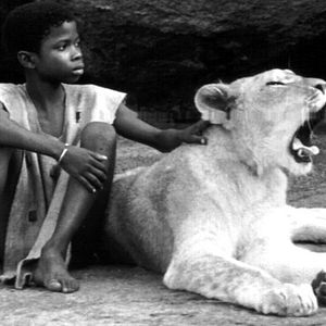 Photo L'Enfant lion