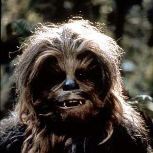 Photo Peter Mayhew