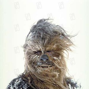 Photo Peter Mayhew