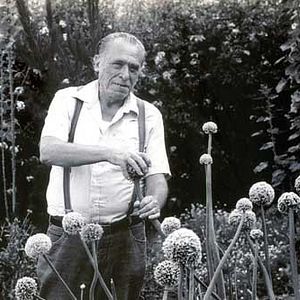 Photo Charles Bukowski