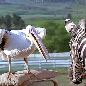 Photo Frederik Du Chau