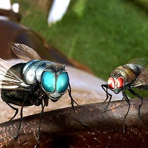 Photo Frederik Du Chau