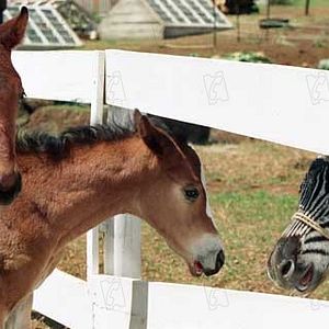 Photo Frederik Du Chau