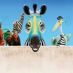 Photo Frederik Du Chau