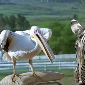 Photo Frederik Du Chau