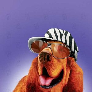 Photo Frederik Du Chau