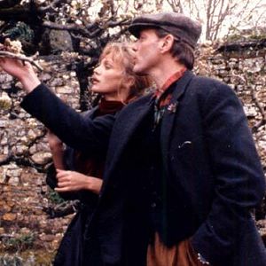 Photo L'arbre, le maire et la médiathèque