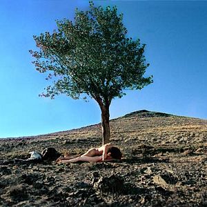 Photo Mitra Farahani