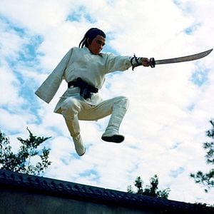 Photo La Rage du tigre