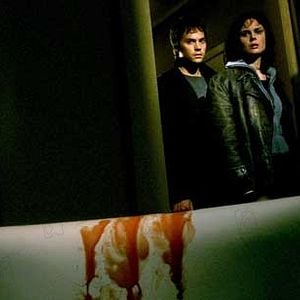 Photo Stephen T. Kay