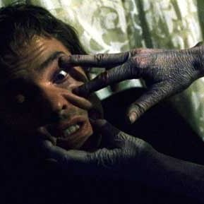 Photo Stephen T. Kay