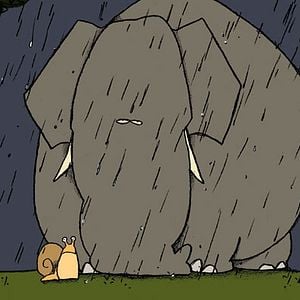 Photo Isabelle Favez