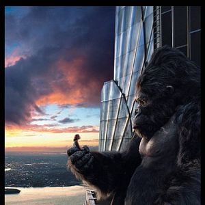 Photo King Kong