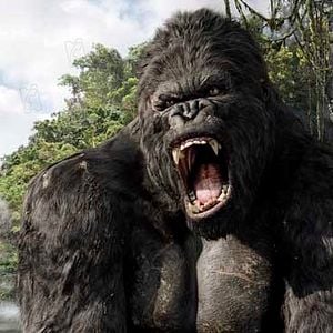 Photo King Kong