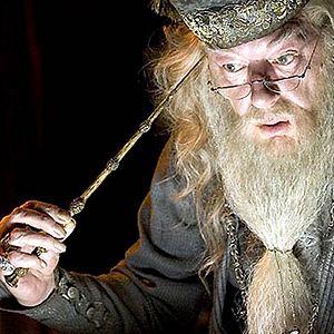 Photo Michael Gambon