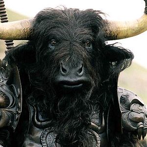 Photo Andrew Adamson