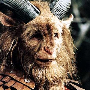 Photo Andrew Adamson