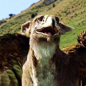 Photo Andrew Adamson