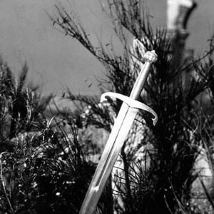 Photo Richard Thorpe