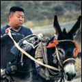 Photo Liu Lei