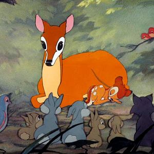 Photo Bambi