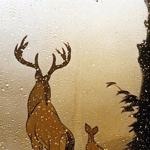 Photo Bambi
