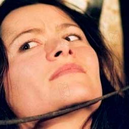 Photo Nicolas Guillou