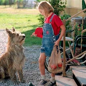 Photo AnnaSophia Robb