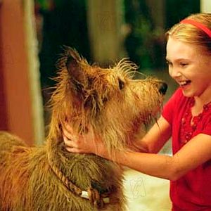 Photo AnnaSophia Robb