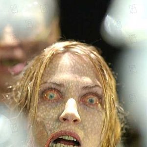 Photo George A. Romero