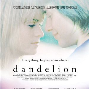 Photo Dandelion