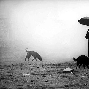 Photo Béla Tarr
