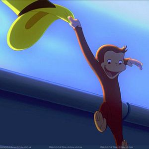 Photo Matthew O'Callaghan