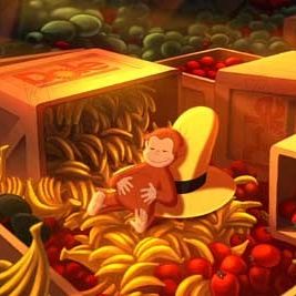 Photo Matthew O'Callaghan