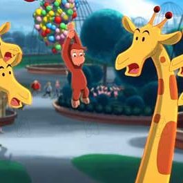 Photo Matthew O'Callaghan