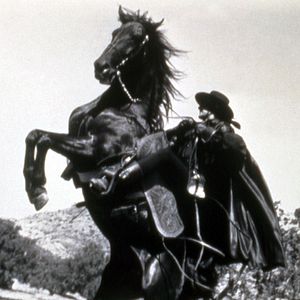 Photo Zorro