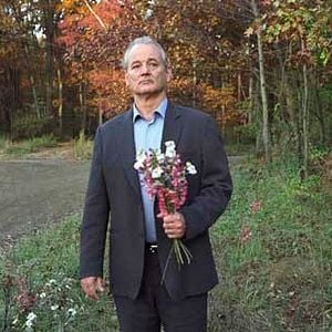 Photo Broken Flowers