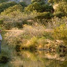 Photo Amat Escalante