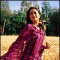 Photo Gayatri Joshi