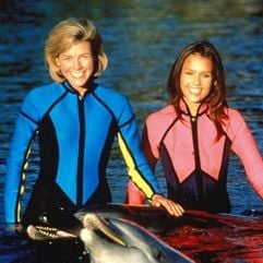 Photo Les Nouvelles aventures de Flipper le dauphin