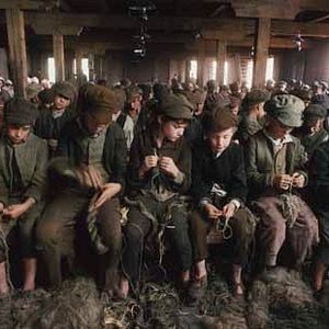 Photo Roman Polanski