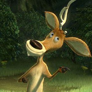 Photo Anthony Stacchi