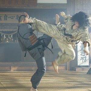 Photo Fighter in the wind